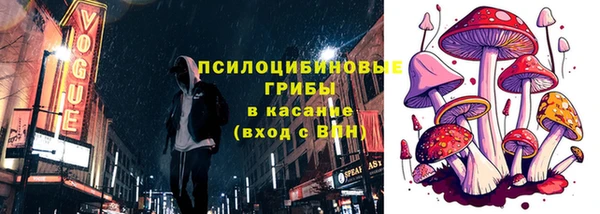 МДПВ Михайлов