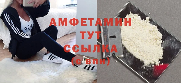 МДПВ Михайлов