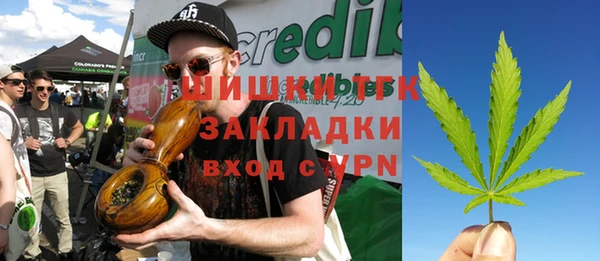 МДПВ Михайлов