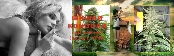 МДПВ Михайлов