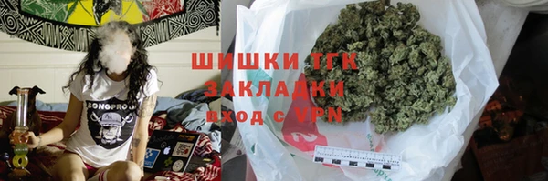 МДПВ Михайлов