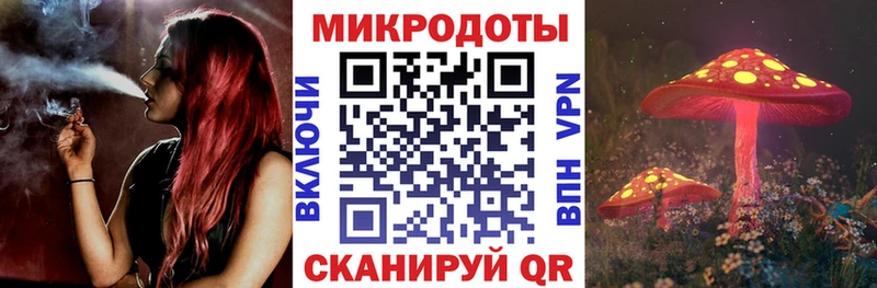 Купить  Якутск  Псилоцибиновые грибы Psilocybe 